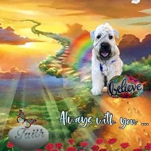 Meet your Posher, Silvia